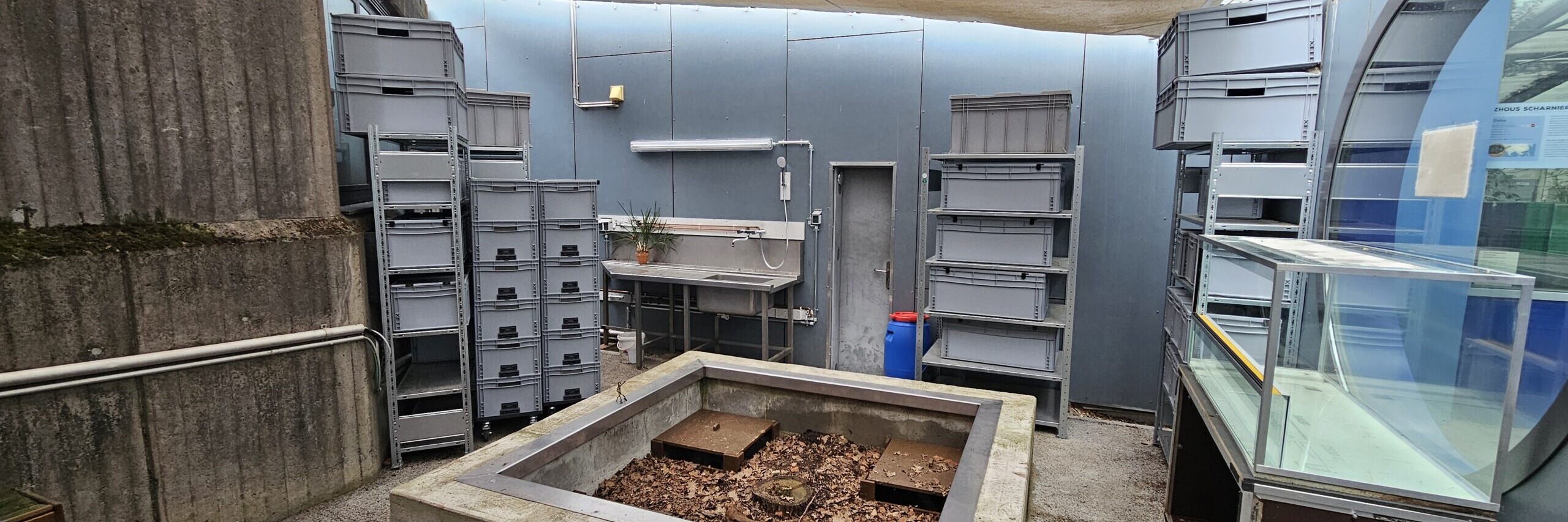 Allwetterzoo Erhaltungszucht